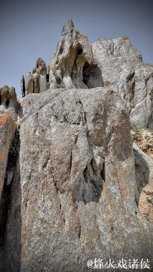 戴奇：我们正在培养团队精神，森林队始终实力不凡